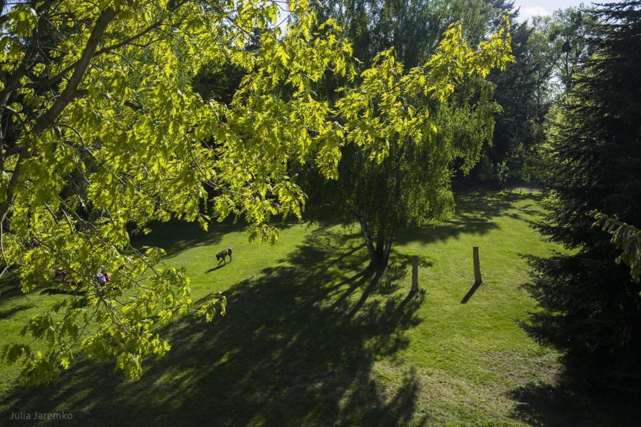 Villa Lesne Zacisze Iława Exterior foto